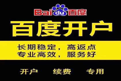 成功案例：SEM竞价代运营助力品牌崛起